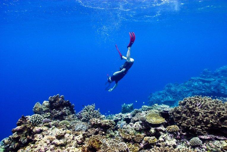 海南3名干部严重违纪违法被“双开”