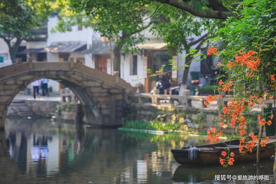 僵尸跳跳跳