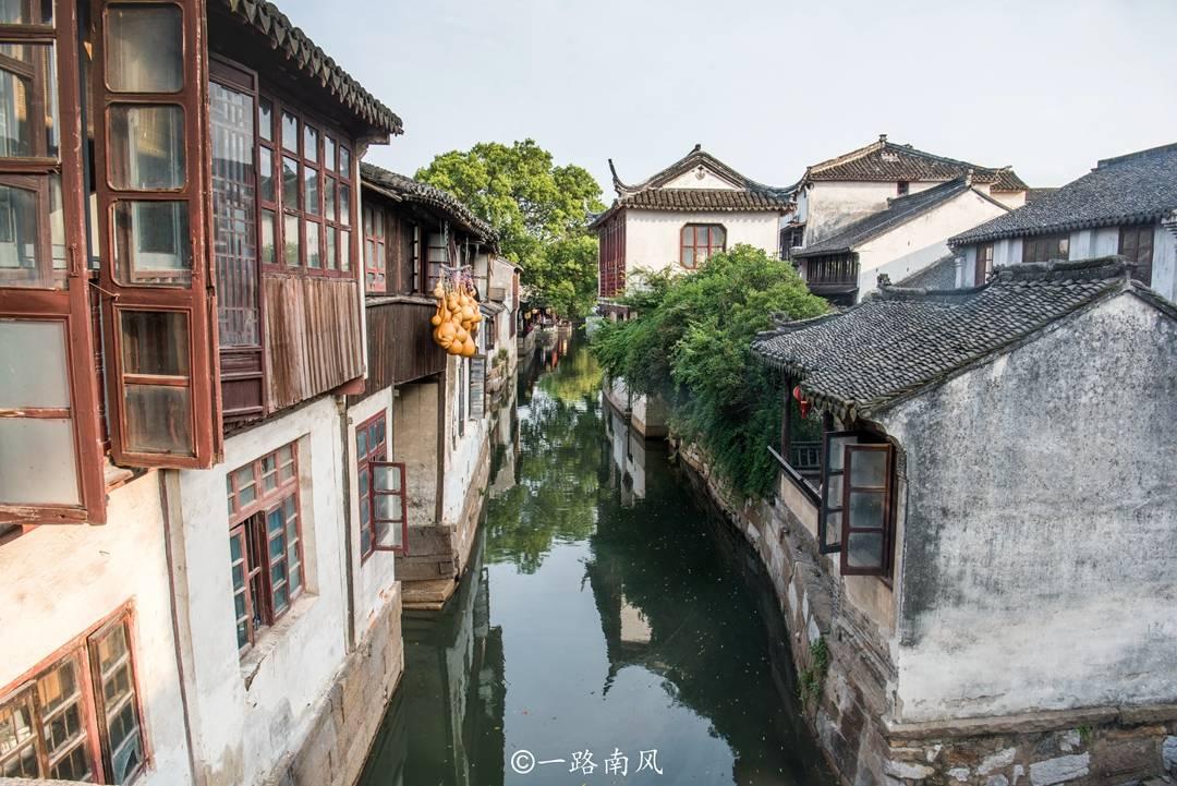 河北三月幼犬吓哭一岁男孩，被家长当面摔死，家长到底是护儿还是泄愤？游戏画面